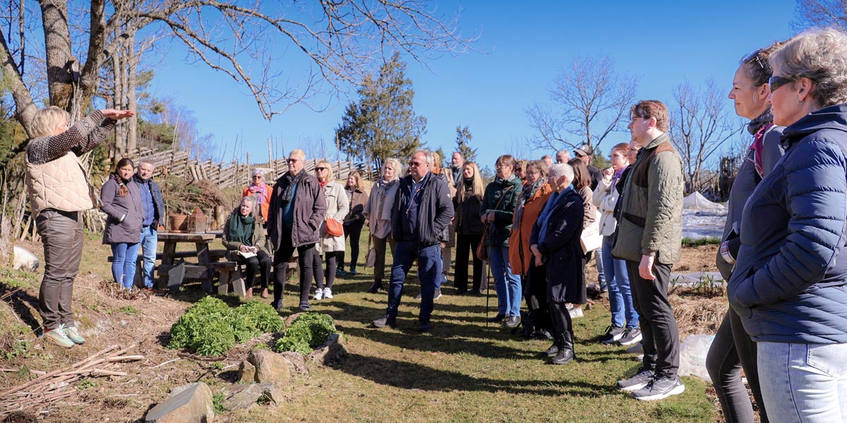 Vår guide över hållbarhetsinitiativ - Svinesundskommittén